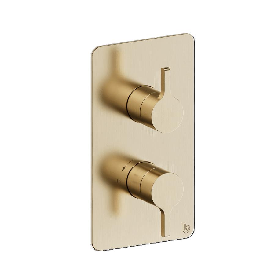 Britton Concealed Shower Valve Britton Hoxton 2.0 1 Outlet, 2 Handle Concealed Thermostatic Shower Valve in Brushed Brass