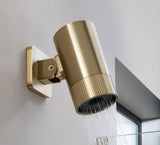 JTP Fixed Shower Head Brushed Brass JTP Lumen Single Function Spot Shower Head