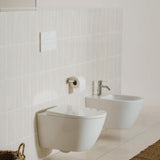 Roca Flush Plate Roca Duplo One PL7 Flush Plate with Square Buttons