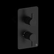 Britton Concealed Shower Valve Matt Black Britton Hoxton 2.0 1 Outlet, 2 Handle Concealed Thermostatic Shower Valve