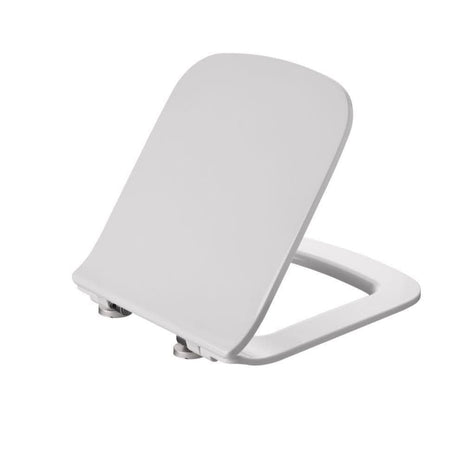 Aquarius Back To Wall Toilet Aquarius Sequoia Back To Wall Rimless Toilet with Slimline Soft Close Seat