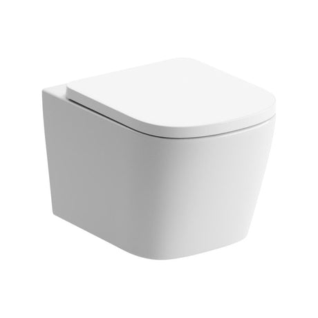 Aquarius Bathrooms Wall Hung Toilet Aquarius Laura Rimless Wall Hung Toilet with Soft Close Seat
