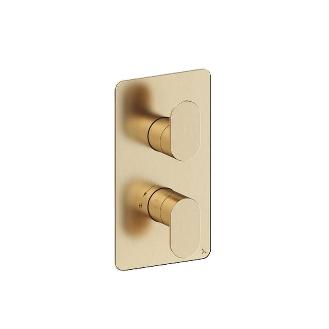 Crosswater Concealed Shower Valve Brushed Brass Crosswater Drift 2 Outlet, 2 Handle Vertical Concealed Shower Valve