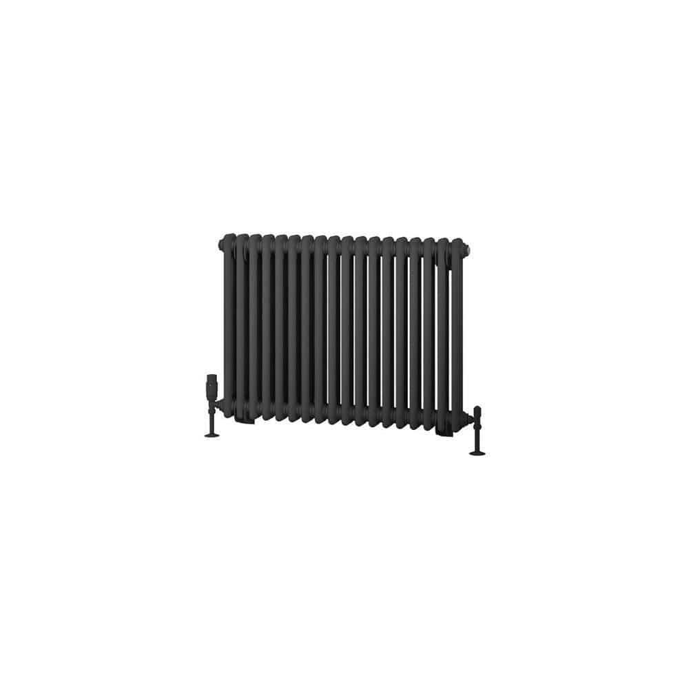 Eastbrook Column Radiator Eastbrook Rivassa Traditional 2 Column Radiator in Matt Anthracite