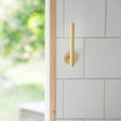 Smedbo Toilet Roll Holder Brushed Brass Smedbo Home Spare Toilet Roll Holder