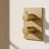 Crosswater Concealed Shower Valve Brushed Brass Crosswater MPRO Crossbox 1 Outlet Trimset