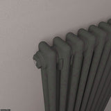 Eastbrook Column Radiator Eastbrook Rivassa Traditional 2 Column Radiator in Matt Anthracite