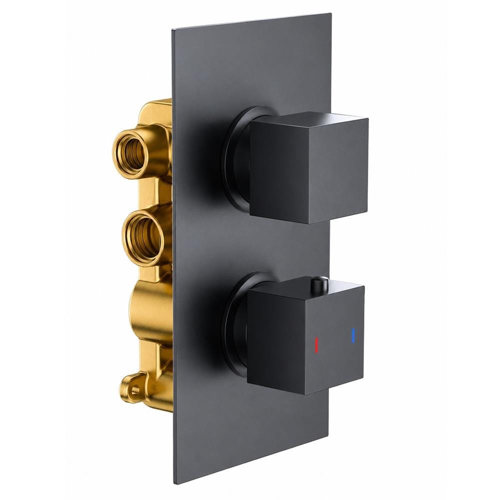 Aquarius Bathrooms Concealed Shower Set Aquarius RainLux Square 2 Outlet Shower Bundle