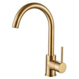 Aquarius Kitchen Tap Brushed Brass Aquarius TrueCook - Series 92 - Single Lever Kitchen Mixer Tap