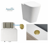 Aquarius Bathrooms Back to Wall Toilet Brushed Brass Aquarius Laura Back to Wall Rimless Toilet Bundle with Pan, Cistern and Flush Button