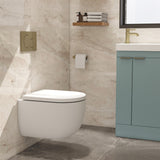 Imex Wall Hung Toilet Imex Luna Rimless UltraVortex Wall Hung Toilet with Soft Close Seat