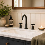 Clearwater 3 Hole Basin Set Clearwater Clover 3 Hole Basin Mixer Tap in Matt Black