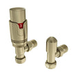 Eastbrook Radiator Valve Brushed Brass Eastbrook Angled Thermostatic Radiator Valve with Lockshield 15mm (Pair)
