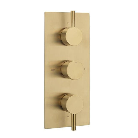 Sagittarius Concealed Shower Valve Brushed Brass Sagittarius Ergo Lever 3 Outlet, 3 Handle Concealed Thermostatic Shower Valve