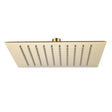 Aquarius Fixed Shower Head Brushed Brass Aquarius RainLux Square Slim Shower Head