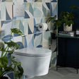 Vado Wall Hung Toilet Arctic White Vado Cameo Round Rimless Wall Hung Toilet with Slimline Soft Close Seat