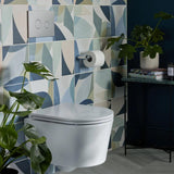 Vado Wall Hung Toilet Arctic White Vado Cameo Round Rimless Wall Hung Toilet with Slimline Soft Close Seat