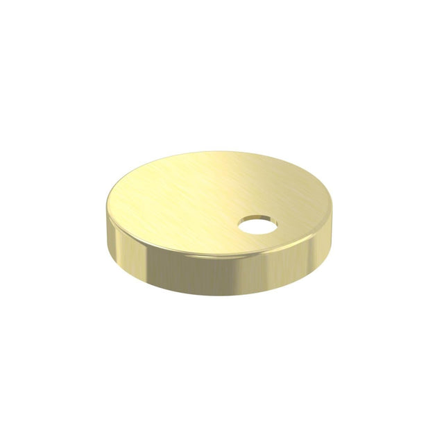 Saneux Toilet Accessories Brushed Brass Saneux Toilet Seat Hinge Cover