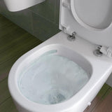 Aquarius Wall Hung Toilet Aquarius Urbano Rimless Wall Hung Toilet Pack with Frame, Flush Plate, Soft Closing Seat and Hinge Covers