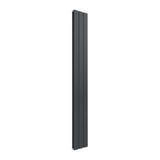Reina Panel Radiator 1600 x 218mm / Anthracite Reina Flat Vertical Double Panel Radiator