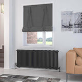 Eastbrook Rivassa Traditional 2 Column Radiator in Matt Black