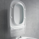 Imex Toilet Seat Imex Grace Slimline Soft Close, Quick Release Duraplus Seat in White