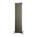 Eastbrook Column Radiator Eastbrook Rivassa Traditional 2 Column Radiator in Bronze Effect