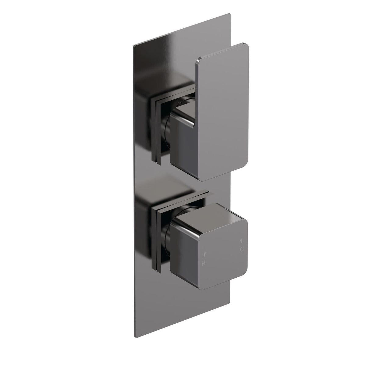 Aquarius Bathrooms Concealed Shower Valve Brushed Pewter Aquarius Tetra 2-Outlet Thermostatic Concealed Valve with Diverter