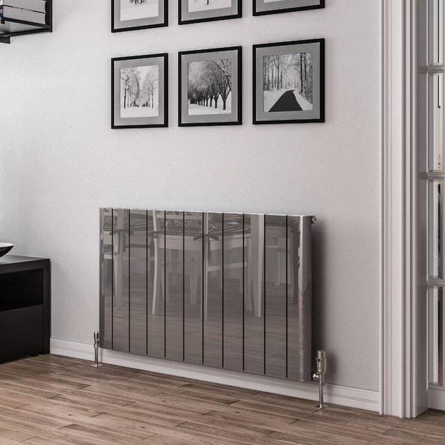 Eastbrook Panel Radiator Eastbrook Peretti Straight Horizontal Aluminum Radiator in Polished Aluminum