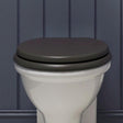 Burlington Toilet Seat Ashbee Grey / Chrome Burlington Guild Close Toilet Seat