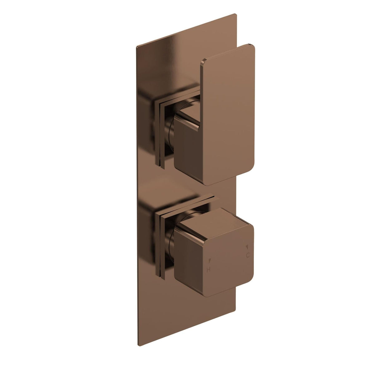 Aquarius Bathrooms Concealed Shower Valve Brushed Bronze Aquarius Tetra 2-Outlet Thermostatic Concealed Valve with Diverter