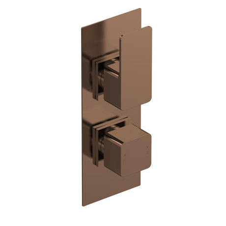 Aquarius Bathrooms Concealed Shower Valve Brushed Bronze Aquarius Tetra 2-Outlet Thermostatic Concealed Valve with Diverter