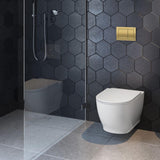 Geberit Flush Plate Geberit Alpha Flush Plate with Square Buttons