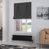 Eastbrook Column Radiator 300 x 1148 / Central Heating Eastbrook Rivassa Traditional 2 Column Radiator in Matt Black