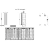 Reina Panel Radiator Reina Piatto Double Vertical Panel Central Heating Radiator