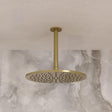 Crosswater Fixed Shower Arm Stainless Brushed Brass Effect Crosswater 3ONE6 Ceiling Shower Arm