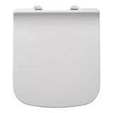 Aquarius Back To Wall Toilet Aquarius Sequoia Back To Wall Rimless Toilet with Slimline Soft Close Seat