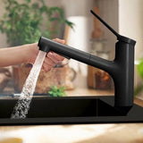 Hansgrohe Kitchen Tap Matt Black Hansgrohe Zesis M33 Single Lever Kitchen Mixer Tap 160 with Pull-Out Spray