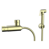 Aquarius Douche Aquarius FT Shattaf Douche Kit with Thermostatic Mini Valve