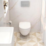 Imex Ivo Rimless Wall hung Toilet Pack with Frame, Flush Plate, and Soft Closing Seat