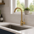 Aquarius Bathrooms Kitchen Tap Brushed Brass Aquarius TrueCook Single Lever Kitchen Mixer Tap