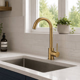 Aquarius Bathrooms Kitchen Tap Brushed Brass Aquarius TrueCook Single Lever Kitchen Mixer Tap