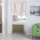 Eastbrook Column Radiator 600 x 833 / Electric Only Eastbrook Rivassa Traditional 2 Column Radiator in Bronze Effect