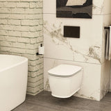Imex Wall Hung Toilet Imex Liberty Rimless Wall Hung Toilet with Soft Close Seat