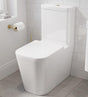 Saneux Close Coupled Toilet Saneux Matteo Close Coupled Rimless Toilet