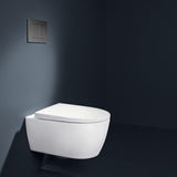 Geberit Flush Plate Geberit Sigma Square Stainless Steel Flush Plate