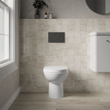Aquarius Bathrooms Back To Wall Toilet Aquarius Essence Back to Wall Toilet with Soft Close Quick Release Seat