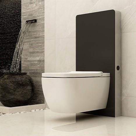Imex Smart Toilet Imex Arco Wall Hung Rimless Smart Toilet