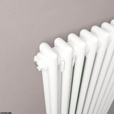 Eastbrook Column Radiator Eastbrook Rivassa Traditional 2 Column Radiator in Gloss White