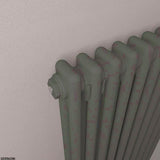 Eastbrook Column Radiator Eastbrook Rivassa Traditional 2 Column Radiator in Matt Anthracite